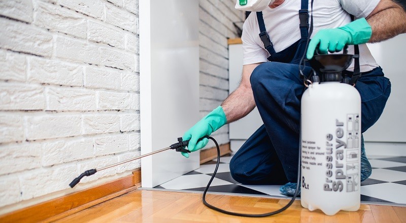 Cleaning Company in Auckland, Best cleaning services in auckland, Best cleaning company auckland, Pest Control , Home Cleaning, Commercial Cleaning in auckland, Residential Services in auckland, Property Management in auckland, Property Management auckland, Office Cleaning, Office Cleaning in auckland